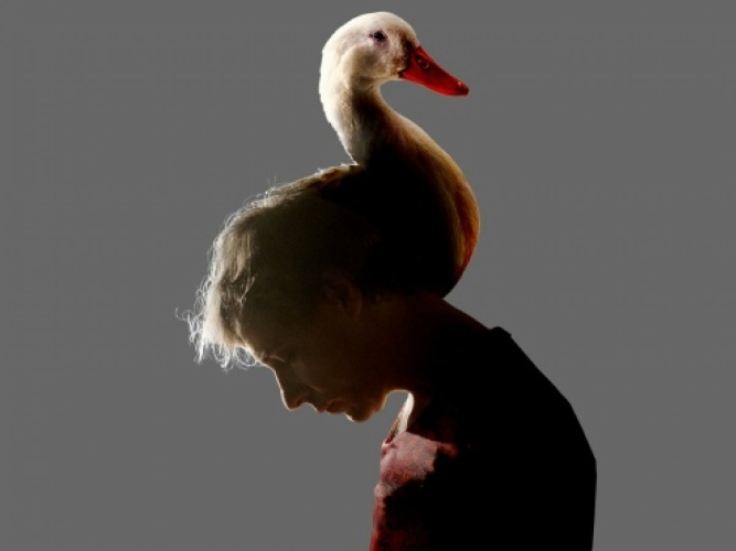 [EduNote] Евгения Гайдученко, Мария Кутузов — Как _0.jpg